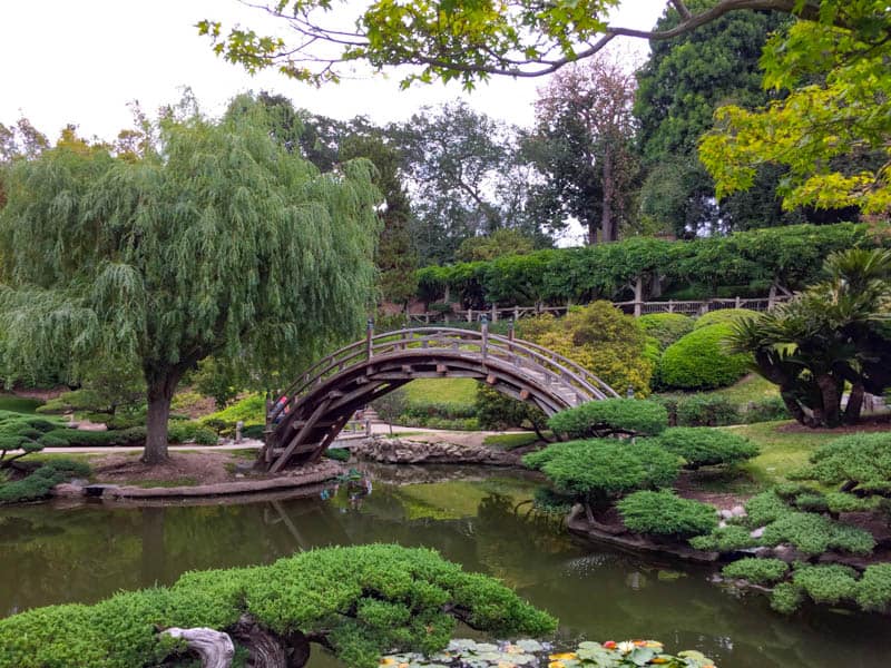 Japanese Garden The Huntington near Pasadena California