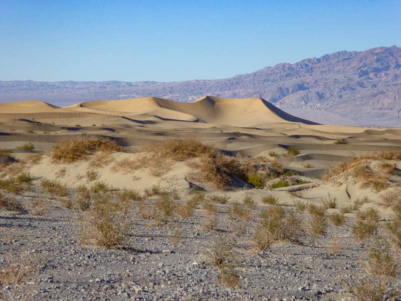Mesquite Sand Dunes Death Valley