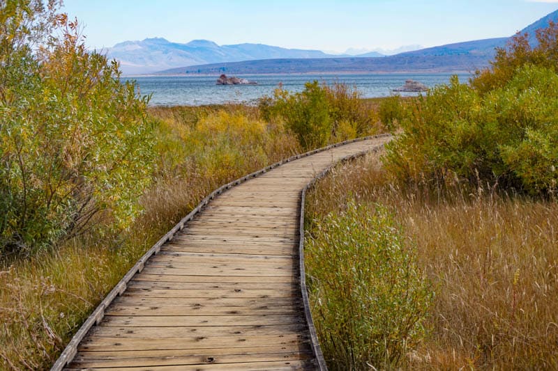 Mono Lake Boardwalk Trail Lee Vining California