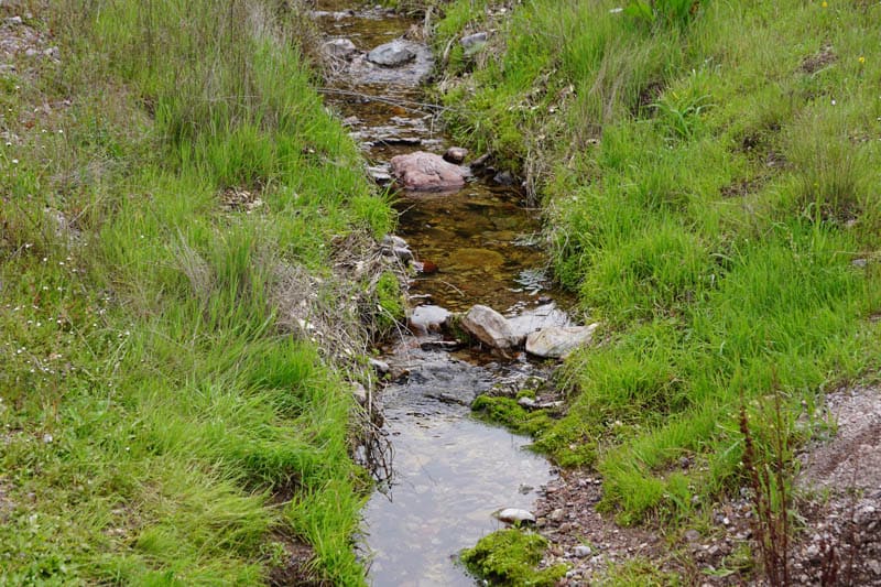 Creek in Pinnacles NP California