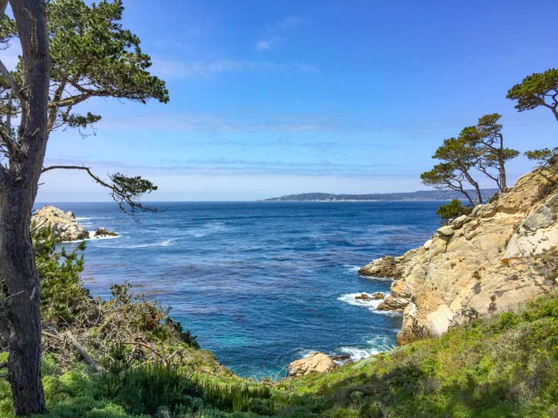 North Shore Trail Point Lobos State Park California