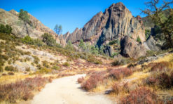 Pinnacles National Park: The Ultimate 2024 Guide