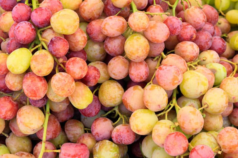 Sweet grapes at the Farmers' Market in Solvang