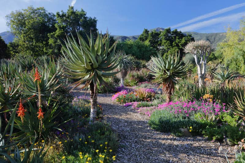 Taft Botanical Garden Ojai California