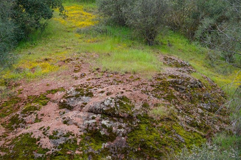 View from Trail Pinnacles NP