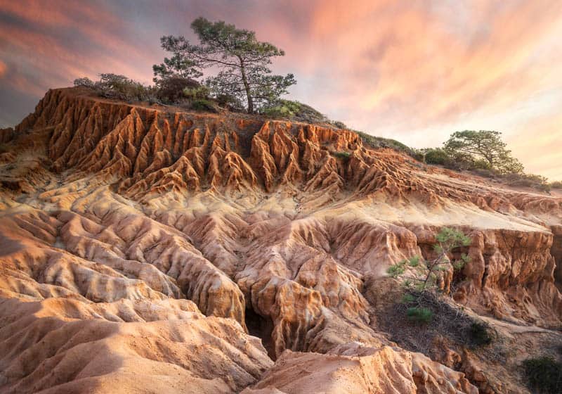 Landscape at Torrey Pines State Reserve California