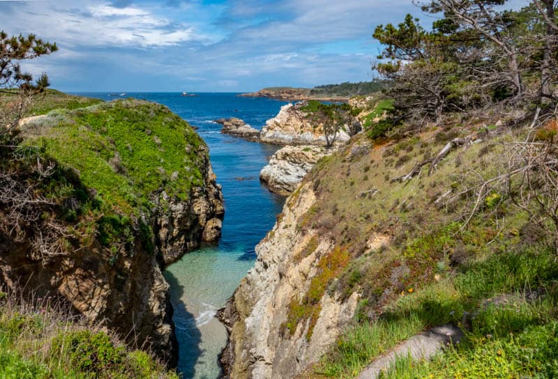 China Cove Point Lobos State Natural Reserve Carmel California