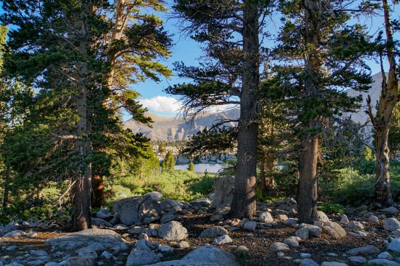 Cottonwood Lakes Trail in the Eastern Sierra of California