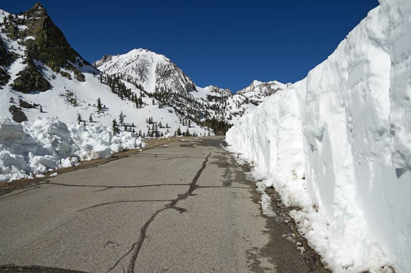 Onion Valley Road in the spring