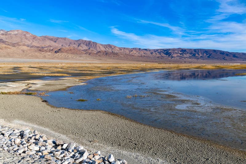 Owens Lake in the Eastern Sierra is a a great spot for birding