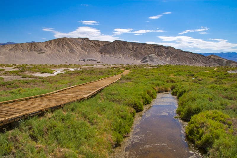 Salt Creek boardwalk trail in Death Valley NP, California