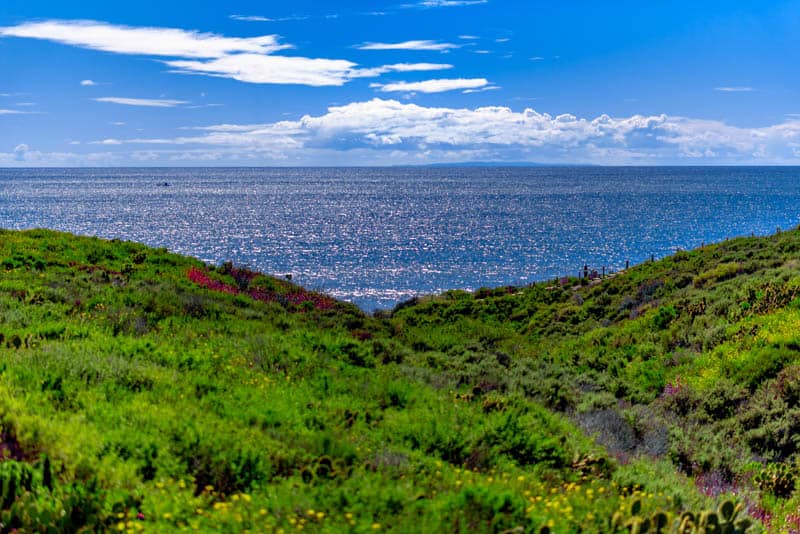 San Clemente California: View from Coastal Trail