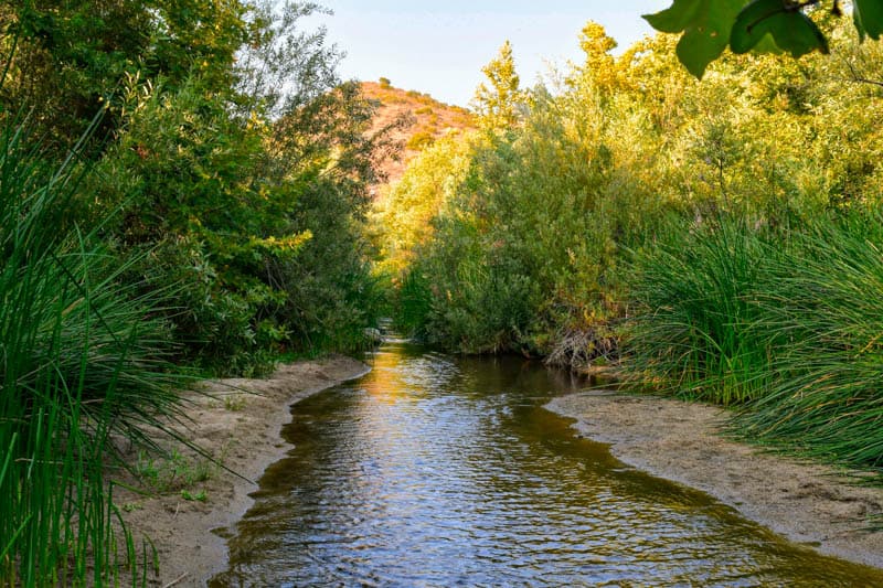 Santa Margarita River Preserve Fallbrook California