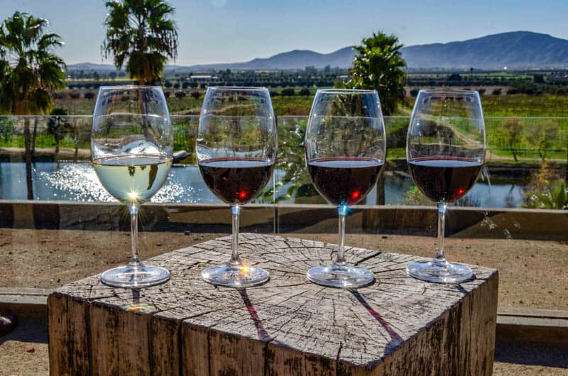 Wine tasting at winery in the Valle de Guadalupe in Baja California