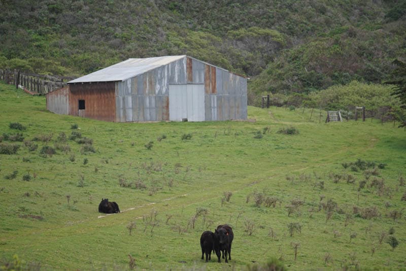 Barn at Soberanes Canyon in Big Sur California