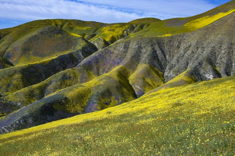 Carrizo Plain National Monument in San Luis Obispo County The Complete