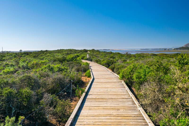 Elfin Forest Boardwalk Los Osos California