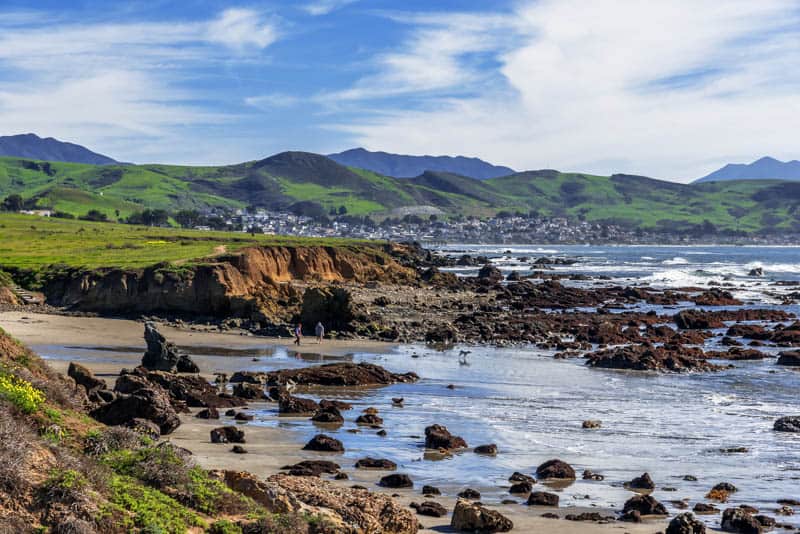 Estero Bluffs State Park near Cayucos California