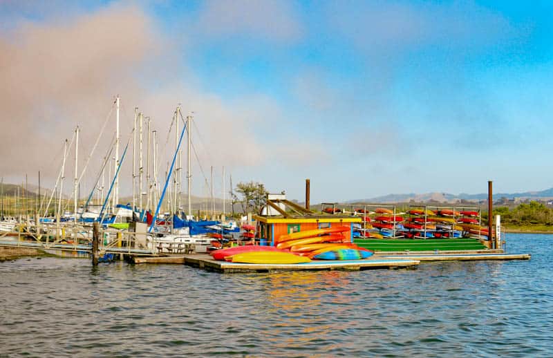 Kayaks in Morro Bay California