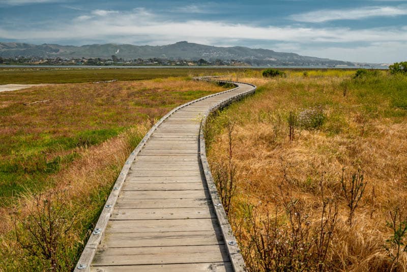 Marina Peninsula Trail Morro Bay California