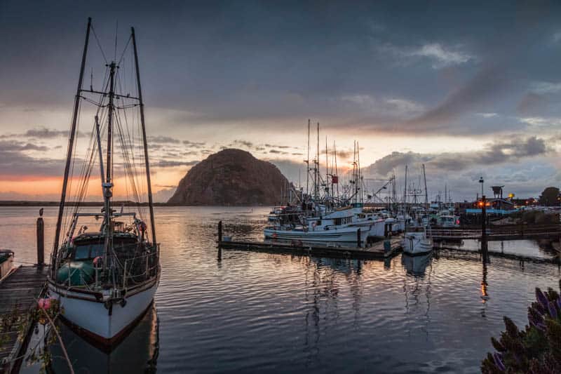 A boat trip is a must in Morro Bay California