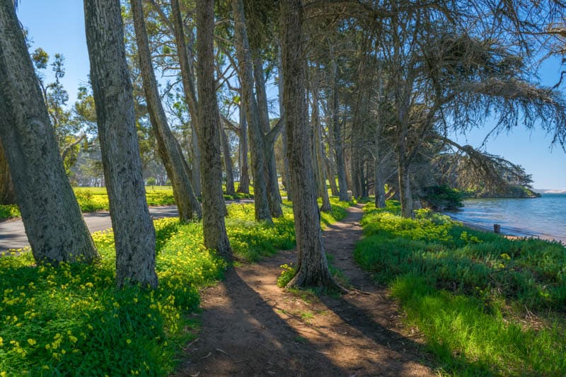 Walking trail in Morro Bay State Park California