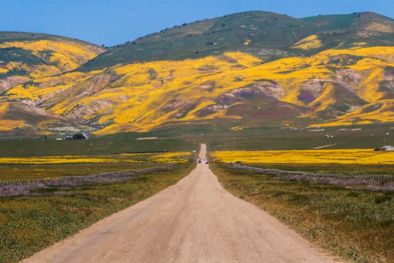 Carrizo Plain National Monument in San Luis Obispo County The Complete