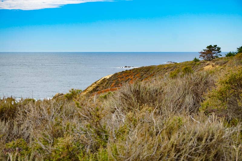 Garrapata State Park in Big Sur California