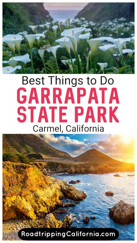 Discover all the fun things to do in Garrapata State Park in Big Sur California, from hiking to photography and wildflower and wildlife viewing. 