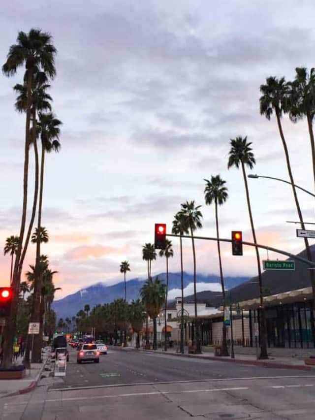 cropped-Palm-Springs-at-Sunset.jpg