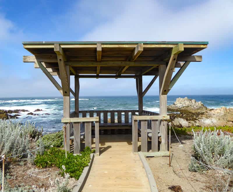 Enjoy the view from the coastal trail at Asilomar in Pacific Grove California