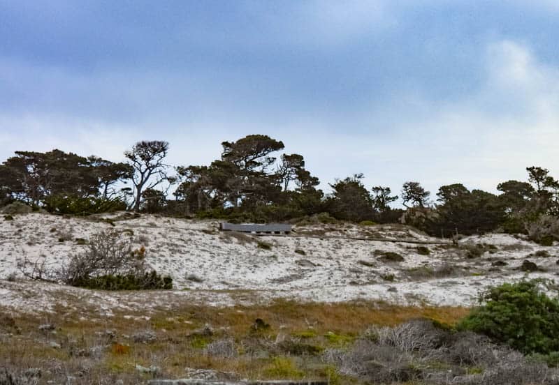 Coastal sand dunes at Asilomar in Pacific Grove, California