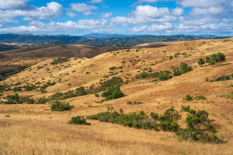 View from a hiking trail at Fort ord National Monument in Salinas
