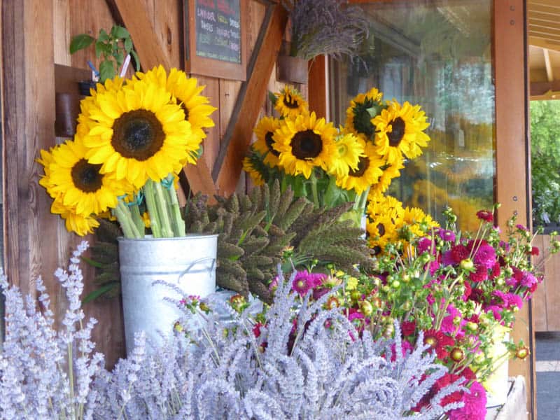 Fresh flowers for sale at Earthbound Farms in Carmel Valley California