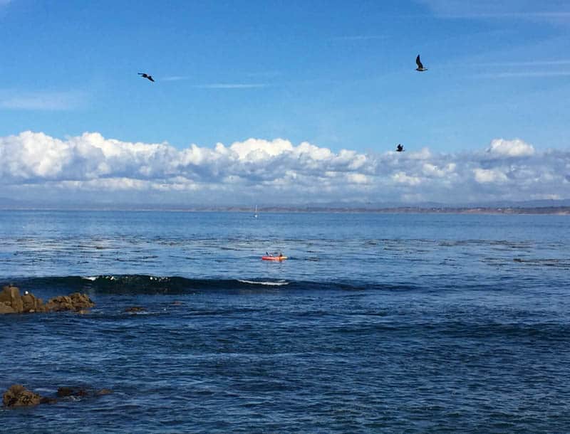 Kayaking beautiful Monterey Bay California