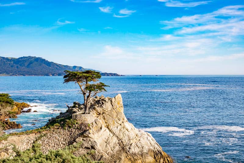 The Lone Cypress, on the 17-Mile Drive in Pebble Beach, California