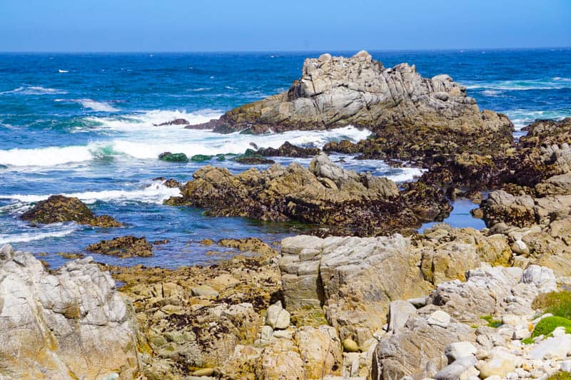 Oceanview Boulevard in Pacific Grove California