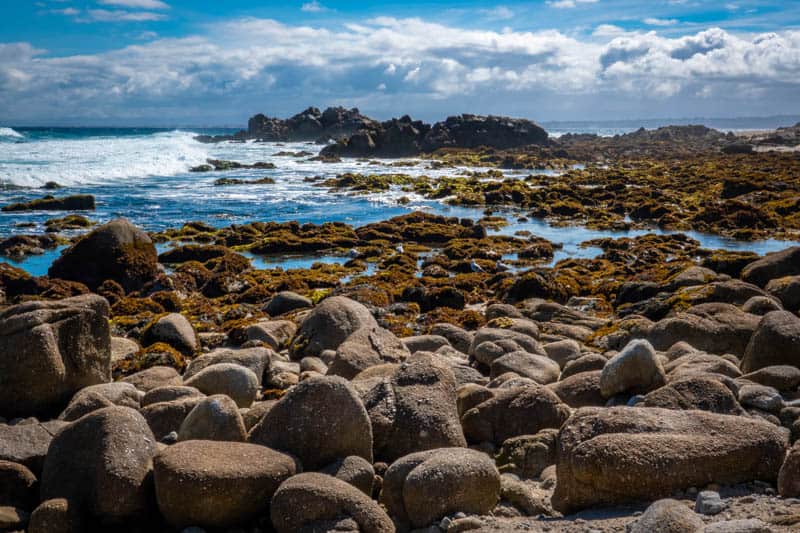 The rocky coastline of Pacific Grove in Central California