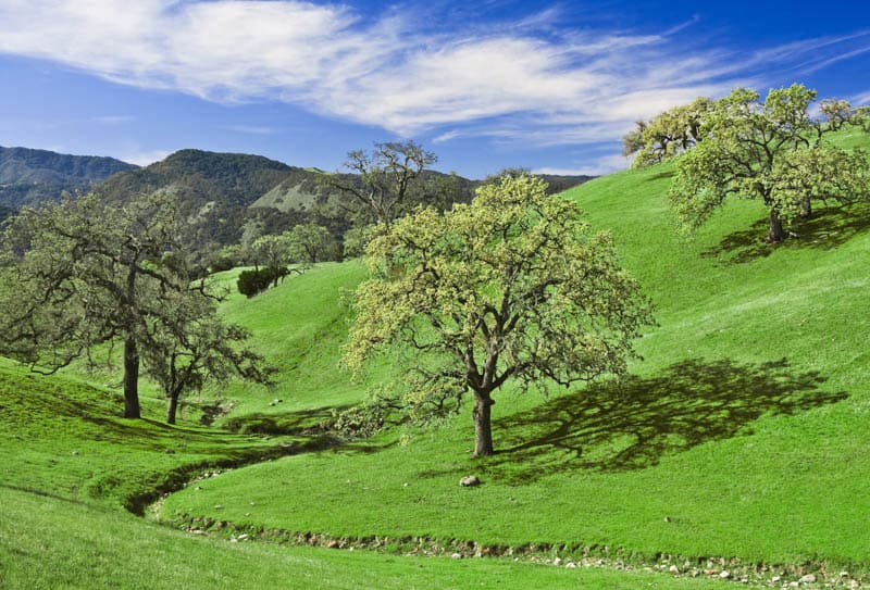 Santa Ynez Valley on the Central California Coast