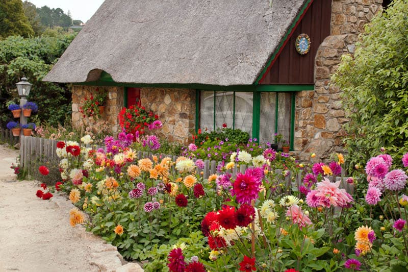 A cute cottage in Carmel California