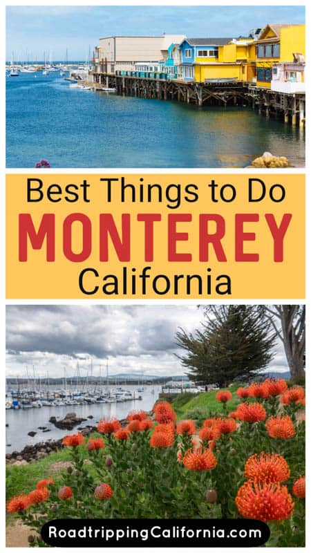 Discover the best things to do in Monterey, California, from whale watching and visiting the famous aquarium to wine tasting and nature trails. 