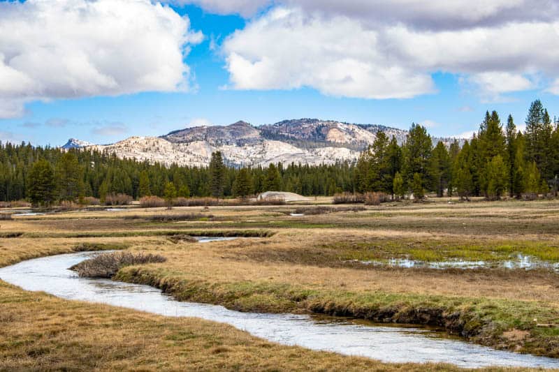 Tuolumne River in Yosemite NP California