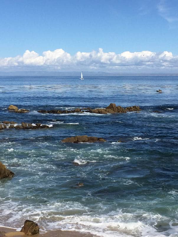 View from Ghirardelli, Monterey California