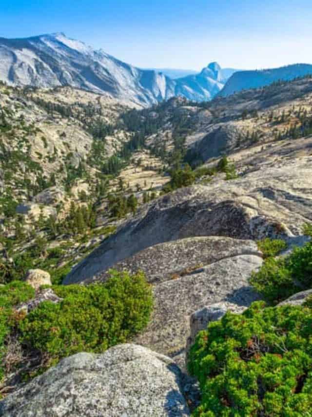 Driving Tioga Road Through Yosemite Story