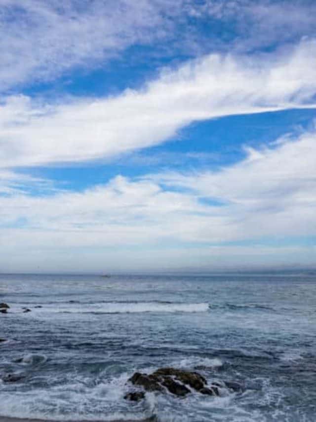 cropped-Seascape-in-Monterey.jpg