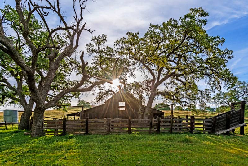 Barn in Paso Robles California