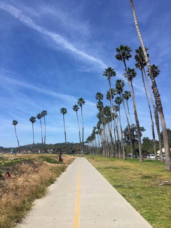 The Cabrillo Boulevard Bike Path in Santa Barbara California is flat and easy. 