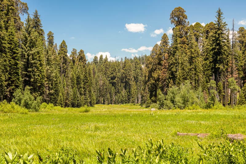 Crescent Meadow in Sequoia NP California