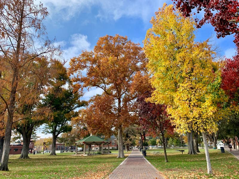 Downtown City Park, Paso Robles, California, in the fall