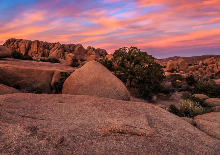 Joshua Tree National Park is one of the places you can visit on an LA to Vegas drive.